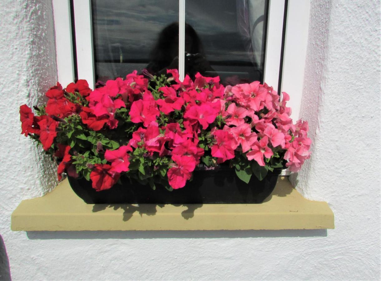 Breacan Cottage B&B Kinvara Eksteriør billede